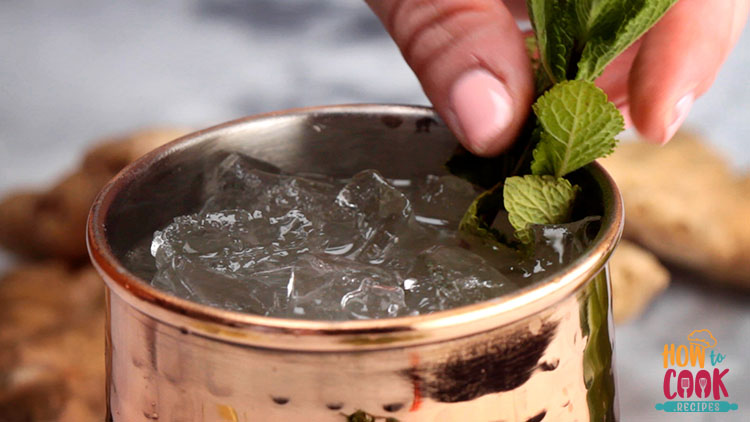 Can you use ginger ale instead of ginger beer in a moscow mule