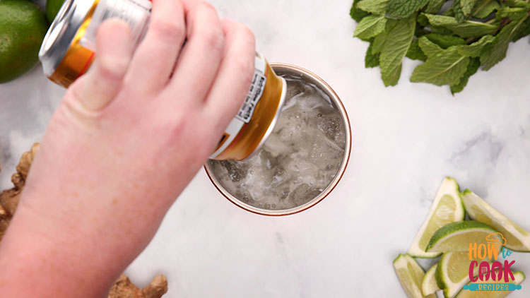 Do you use alcoholic ginger beer in a moscow mule