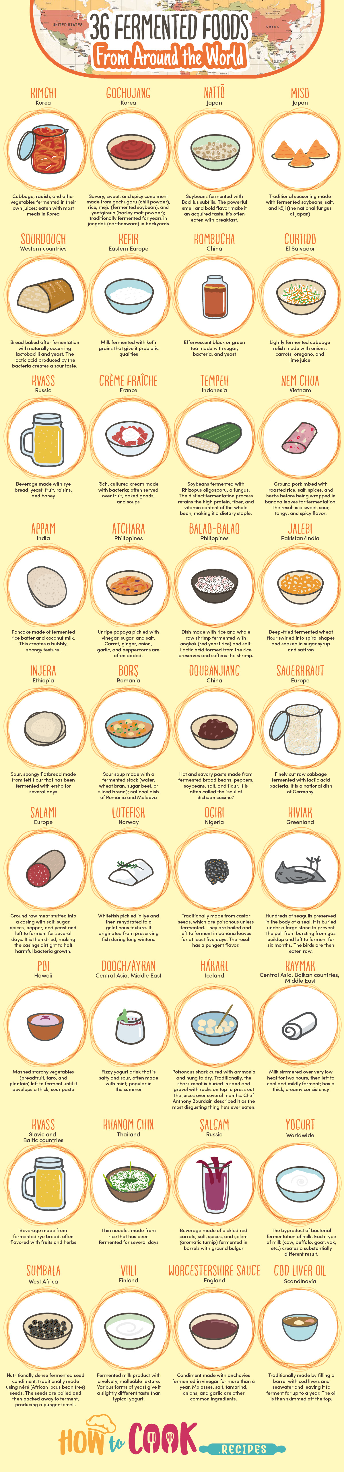 36 Fermented Foods From World How To